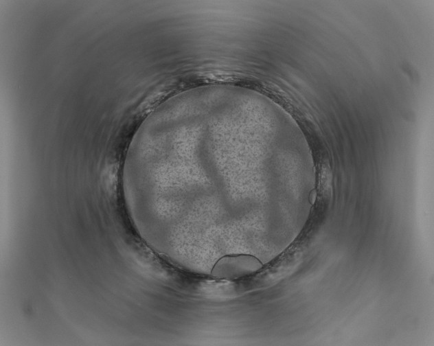 X0000111790271200908061143