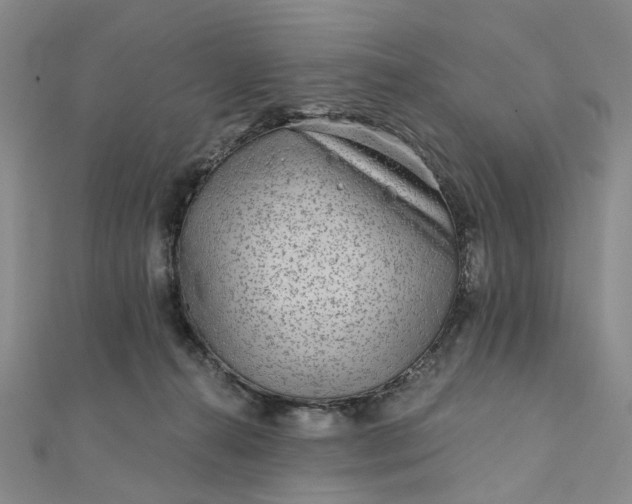 X0000111790272200908061143