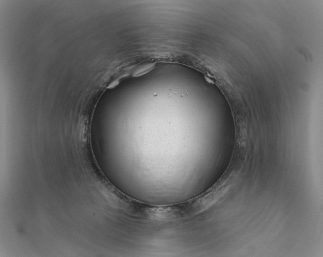 X0000111790273200908061143