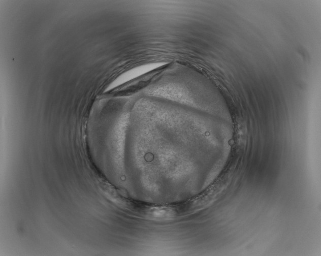 X0000111790275200908061143