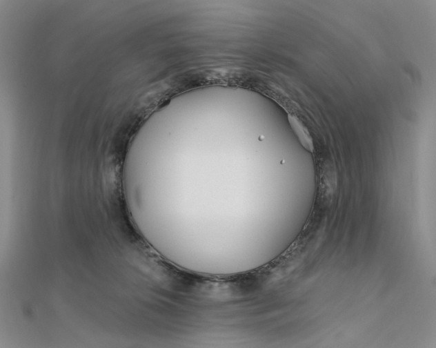 X0000111790276200908061143