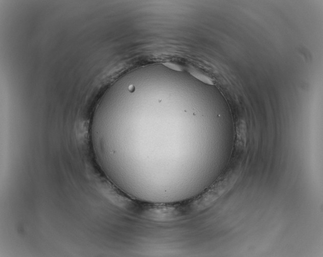 X0000111790278200908061143