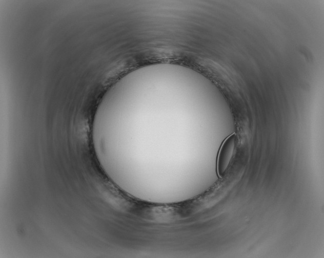 X0000111790279200908061143