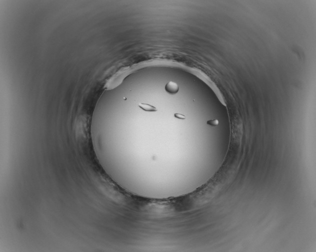 X0000111790280200908061143