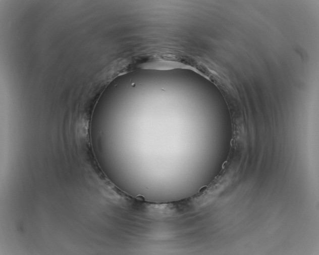 X0000111790281200908061143