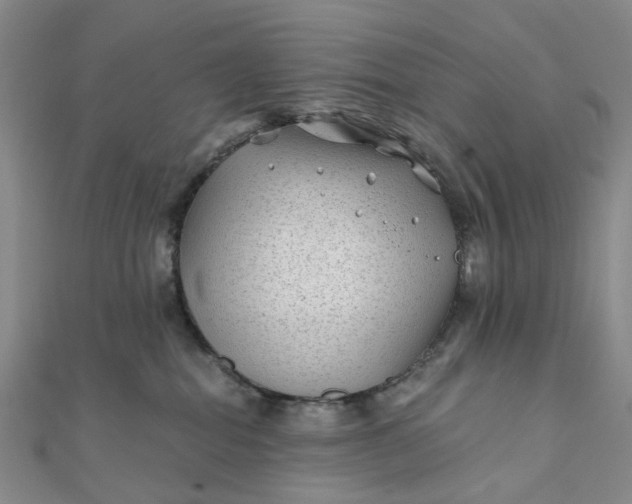 X0000111790282200908061143