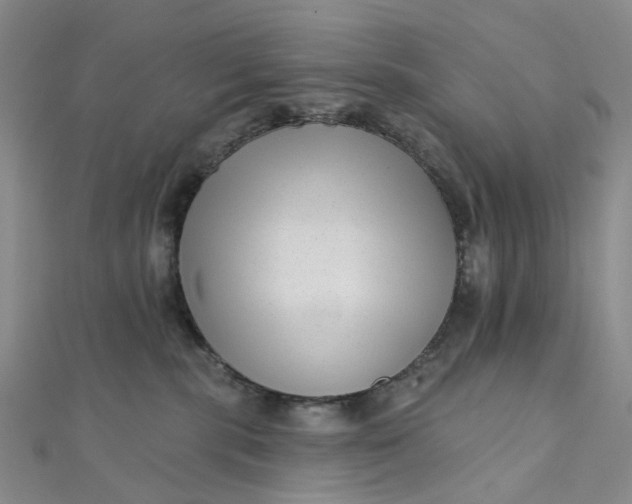 X0000111790283200908061143