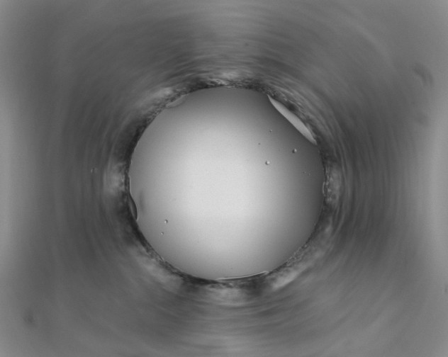 X0000111790284200908061143