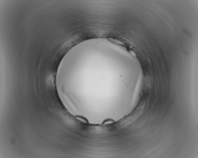 X0000111790286200908061143