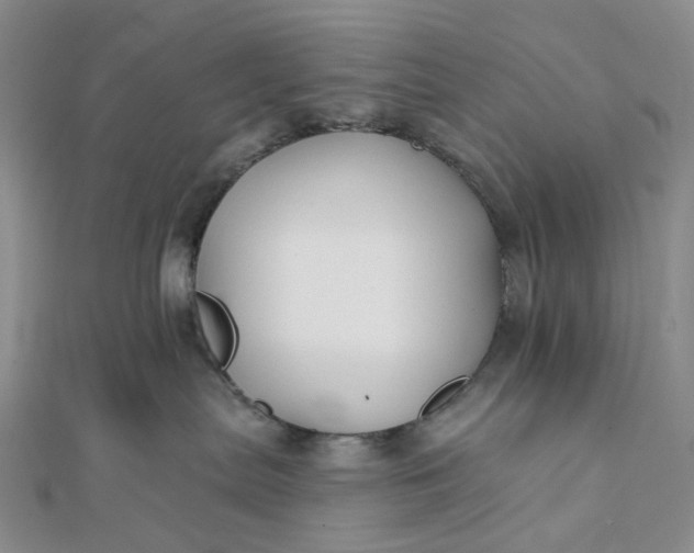 X0000111790287200908061143