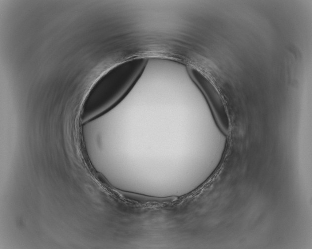 X0000111790289200908061142