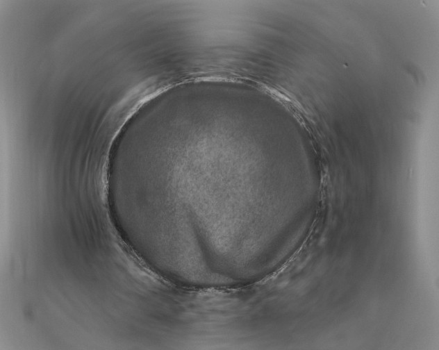 X0000111790290200908061142