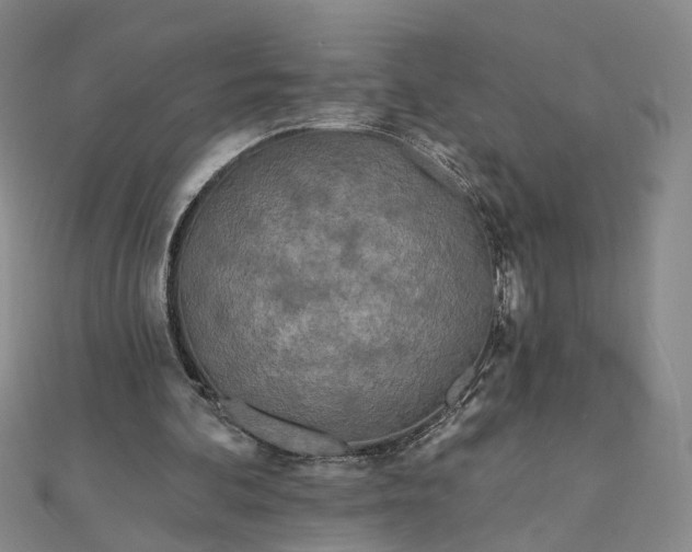 X0000111790292200908061142