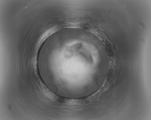 X0000111790293200908061142