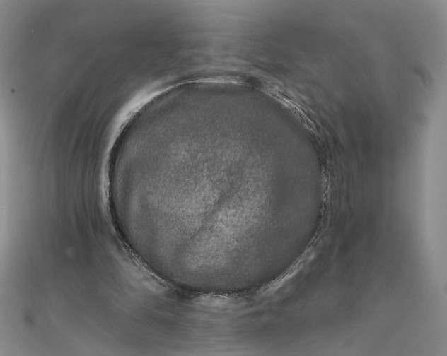 X0000111790294200908061142