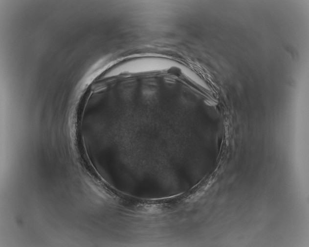 X0000111790295200908061142