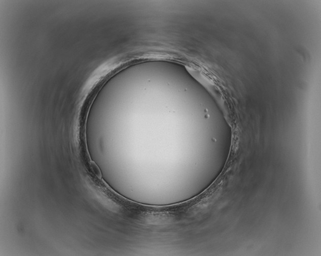 X0000111790296200908061142