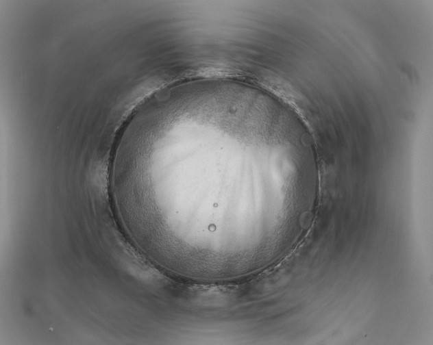 X0000111790297200908061142