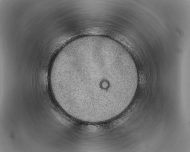 X0000111790302200908061142