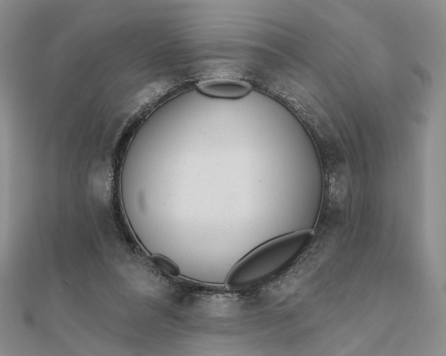 X0000111790304200908061142