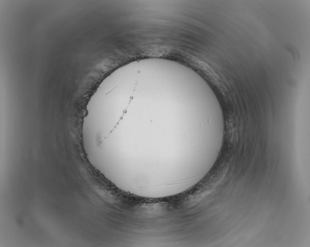 X0000111790307200908061142