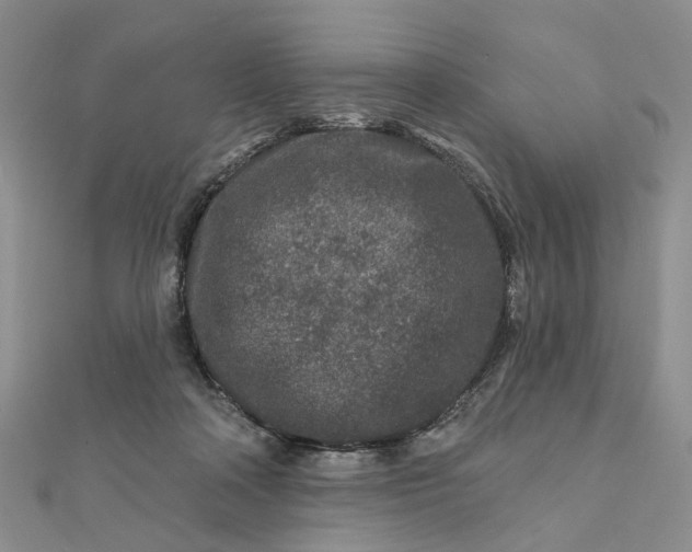 X0000111790314200908061142