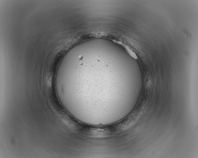 X0000111790315200908061142