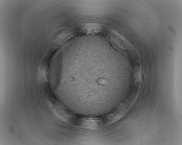 X0000111790316200908061142