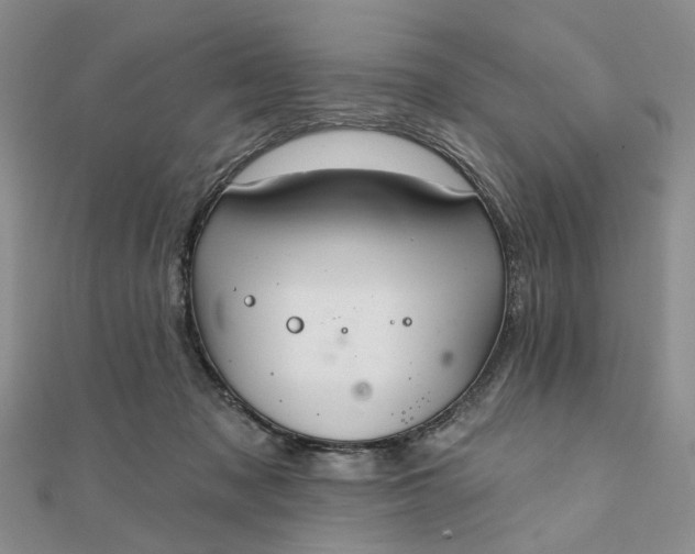 X0000111790317200908061142