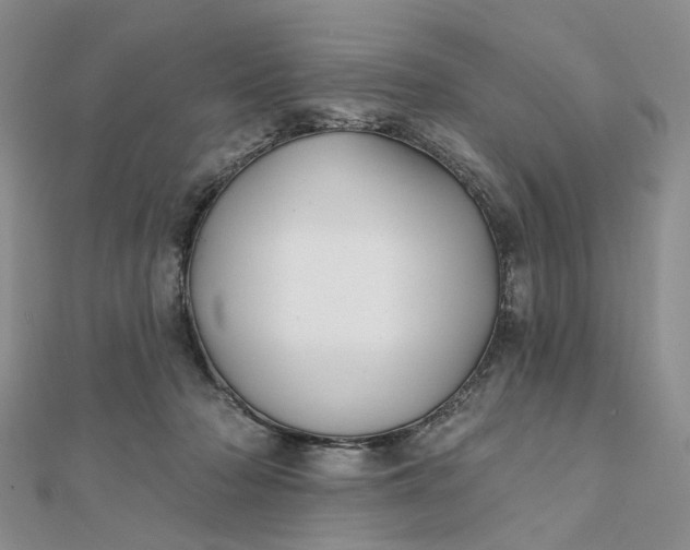 X0000111790318200908061142