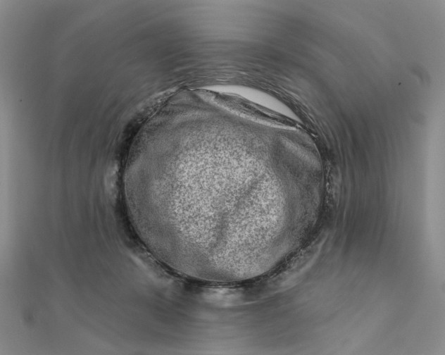 X0000111790319200908061142