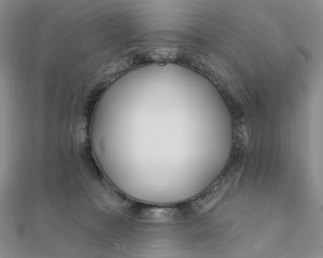 X0000111790323200908061142