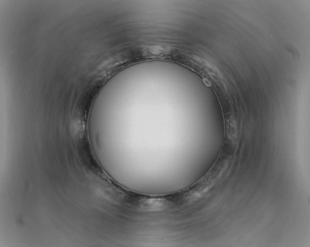 X0000111790324200908061142