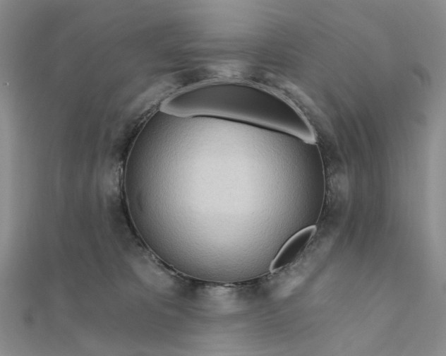 X0000111790325200908061142