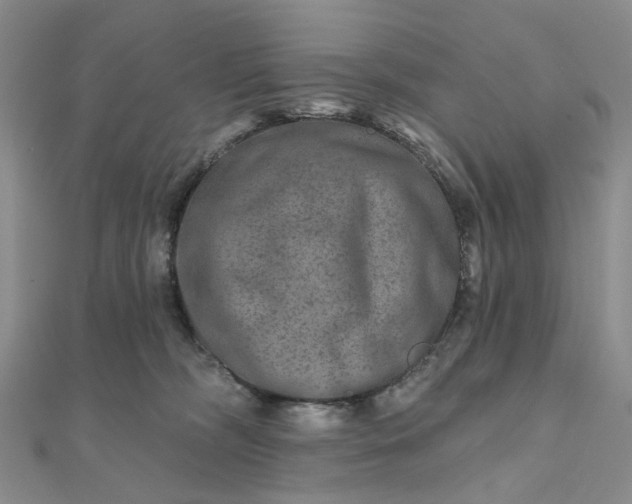 X0000111790326200908061142