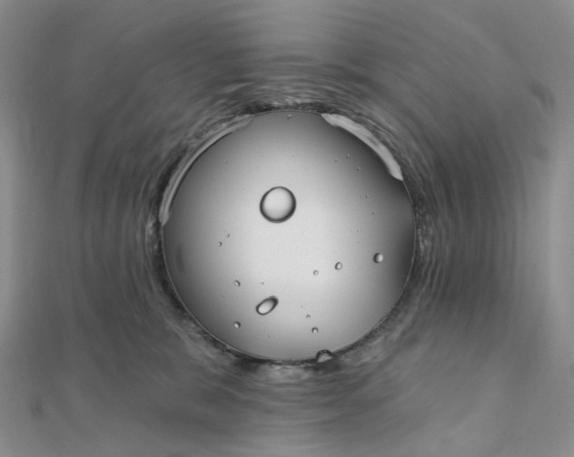 X0000111790327200908061142