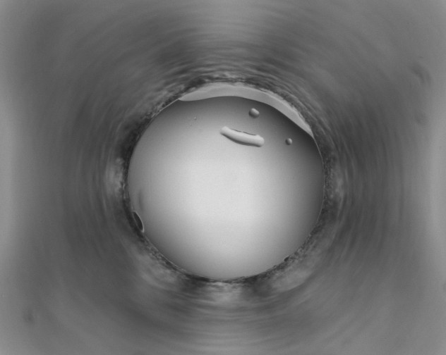 X0000111790328200908061142