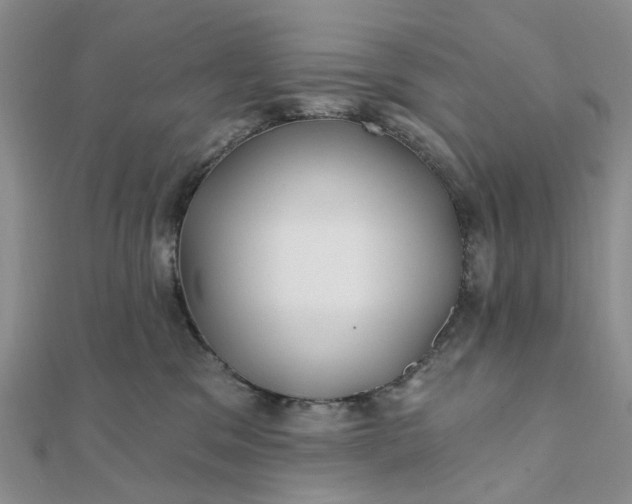 X0000111790329200908061142