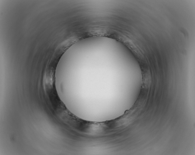 X0000111790334200908061142