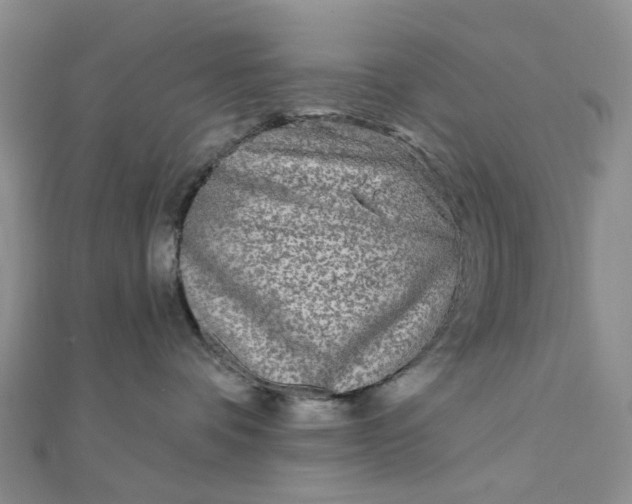 X0000111790336200908061142