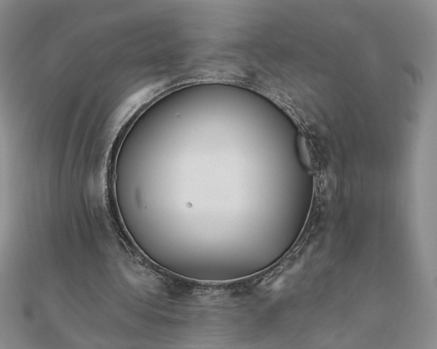 X0000111790340200908061141