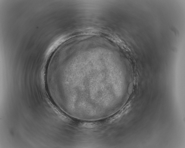 X0000111790341200908061141