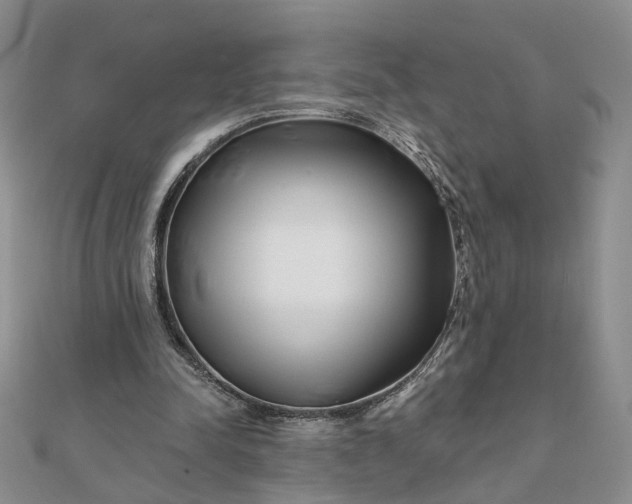 X0000111790342200908061141