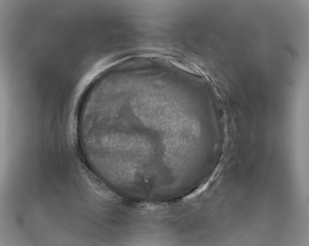 X0000111790343200908061141