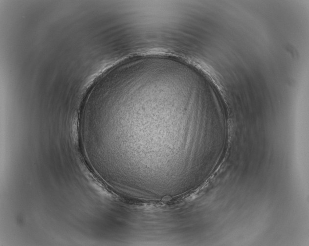 X0000111790345200908061141