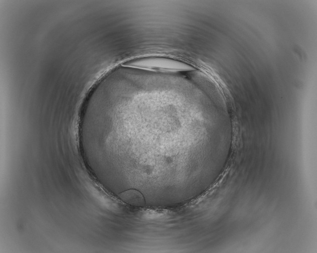 X0000111790346200908061141