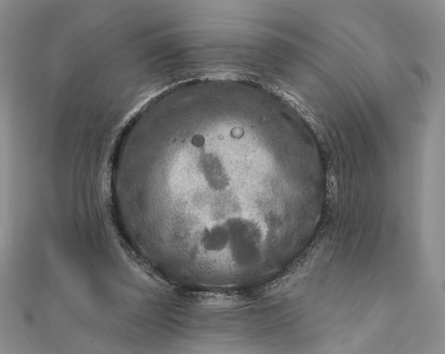 X0000111790347200908061141