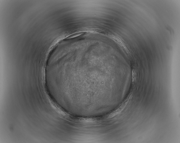 X0000111790349200908061141