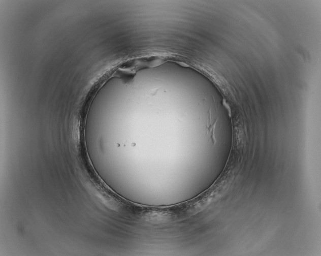 X0000111790350200908061141