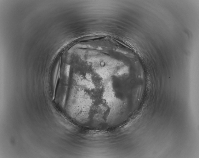 X0000111790351200908061141